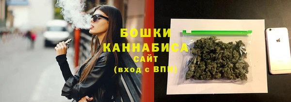 твердый Арсеньев