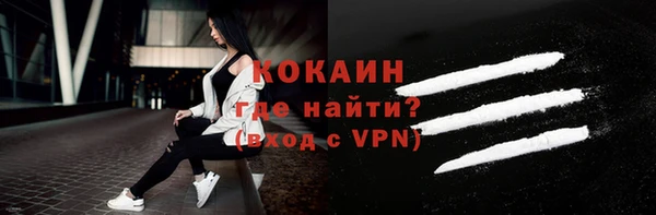 твердый Арсеньев